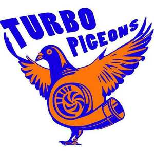 Team Page: Turbo Pigeons